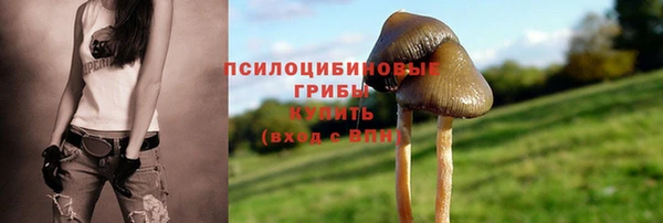 spice Володарск