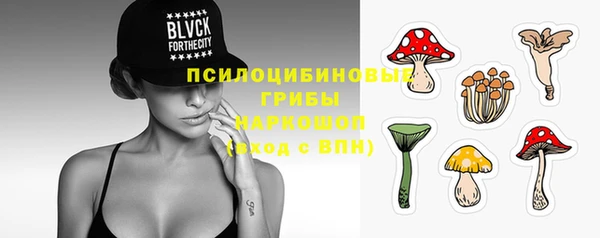 дмт Волоколамск