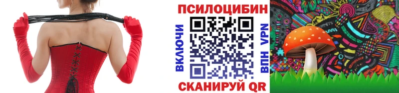 hydra как войти  Кизел  Галлюциногенные грибы MAGIC MUSHROOMS 
